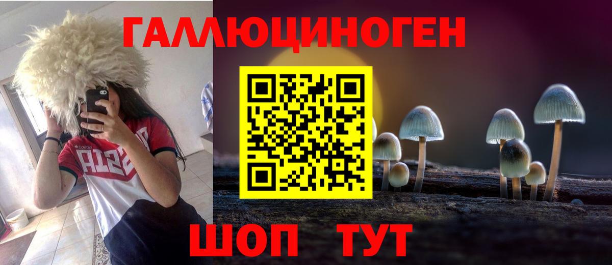 Псилоцибиновые грибы мицелий Новоуральск